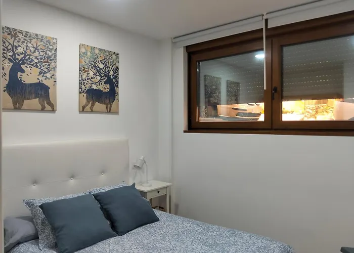 Apartamento Felisa B