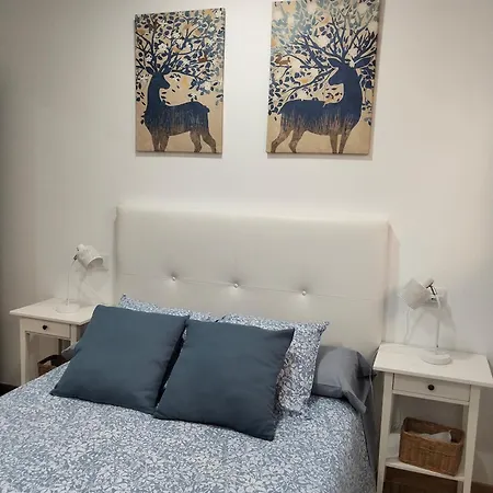 Felisa B アパート *